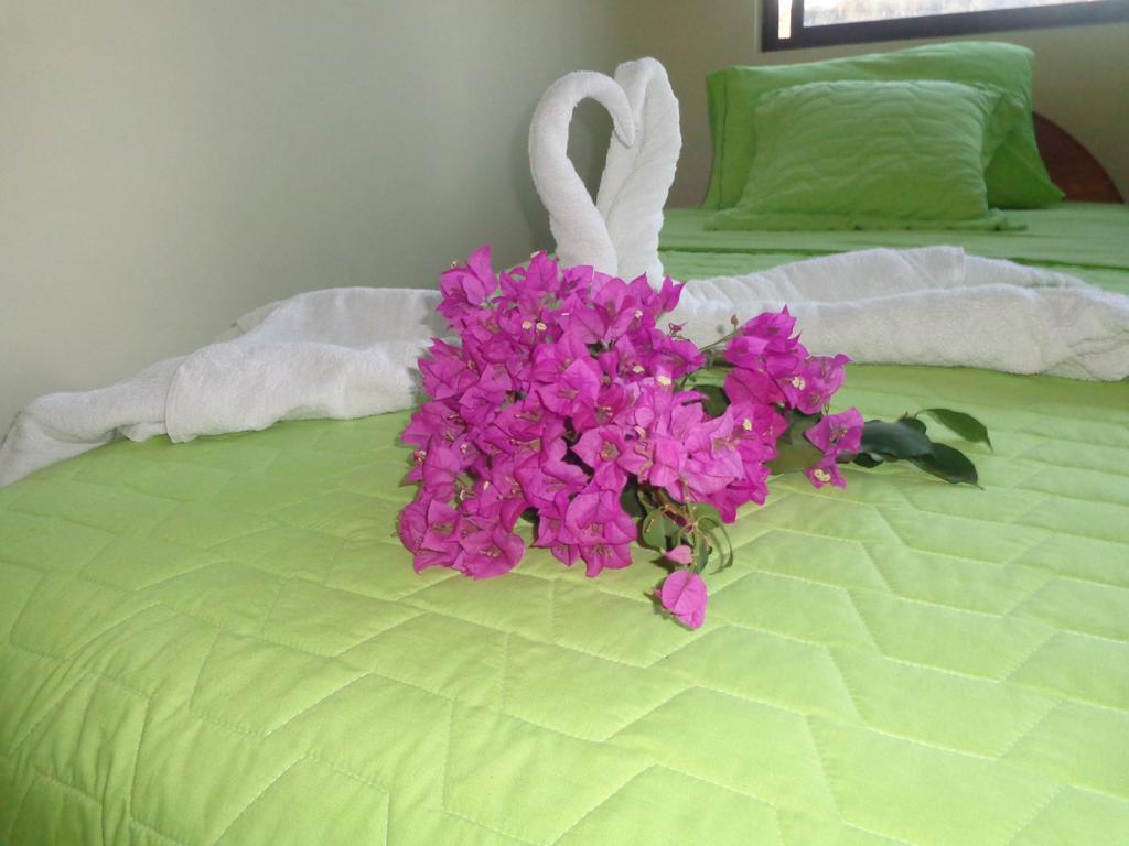 Hostal Casa Cascada 푸에르토아요라 외부 사진